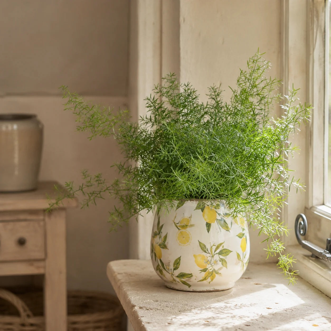 Limon Planter - Large