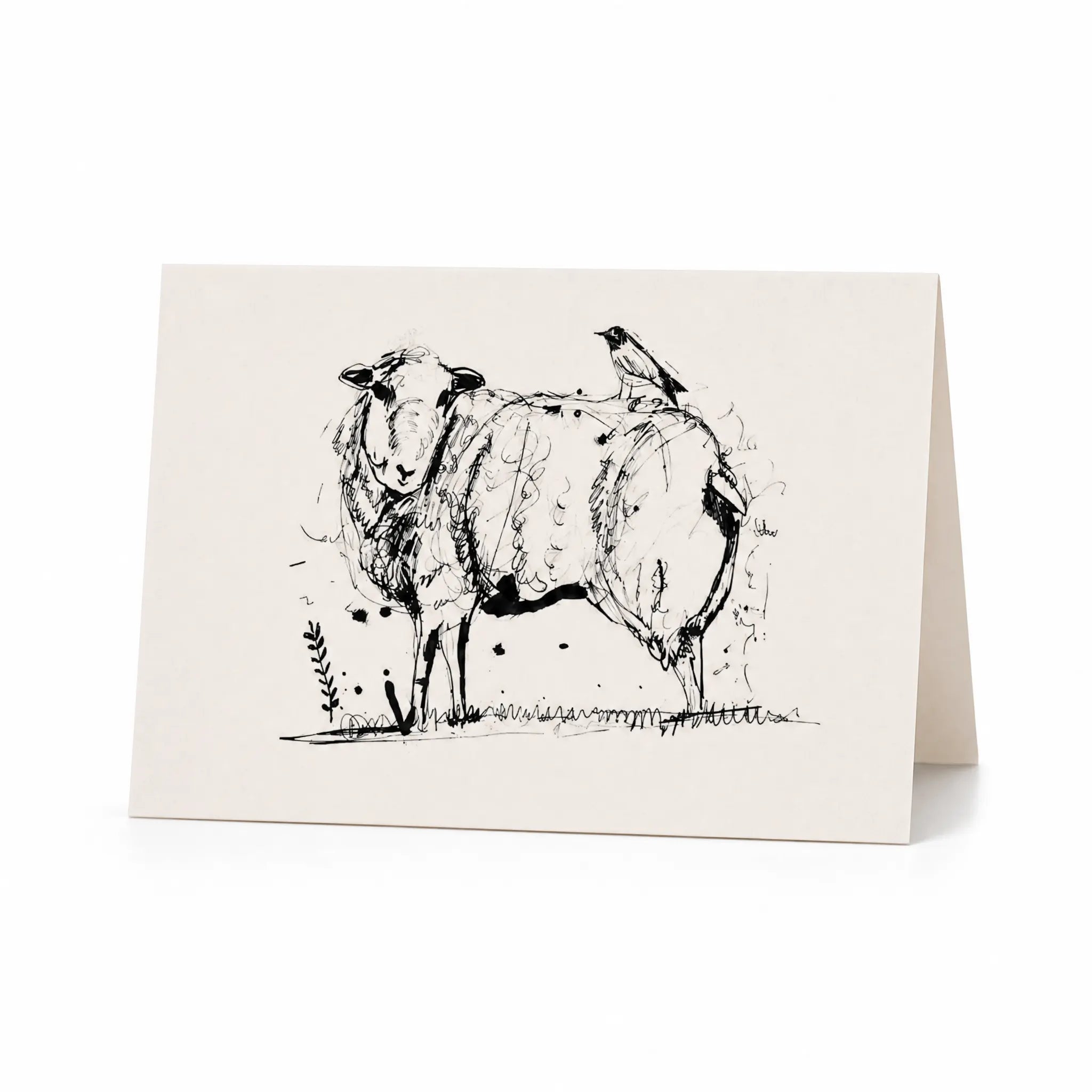 Sam Wilson Sheep & Bird Greetings Card