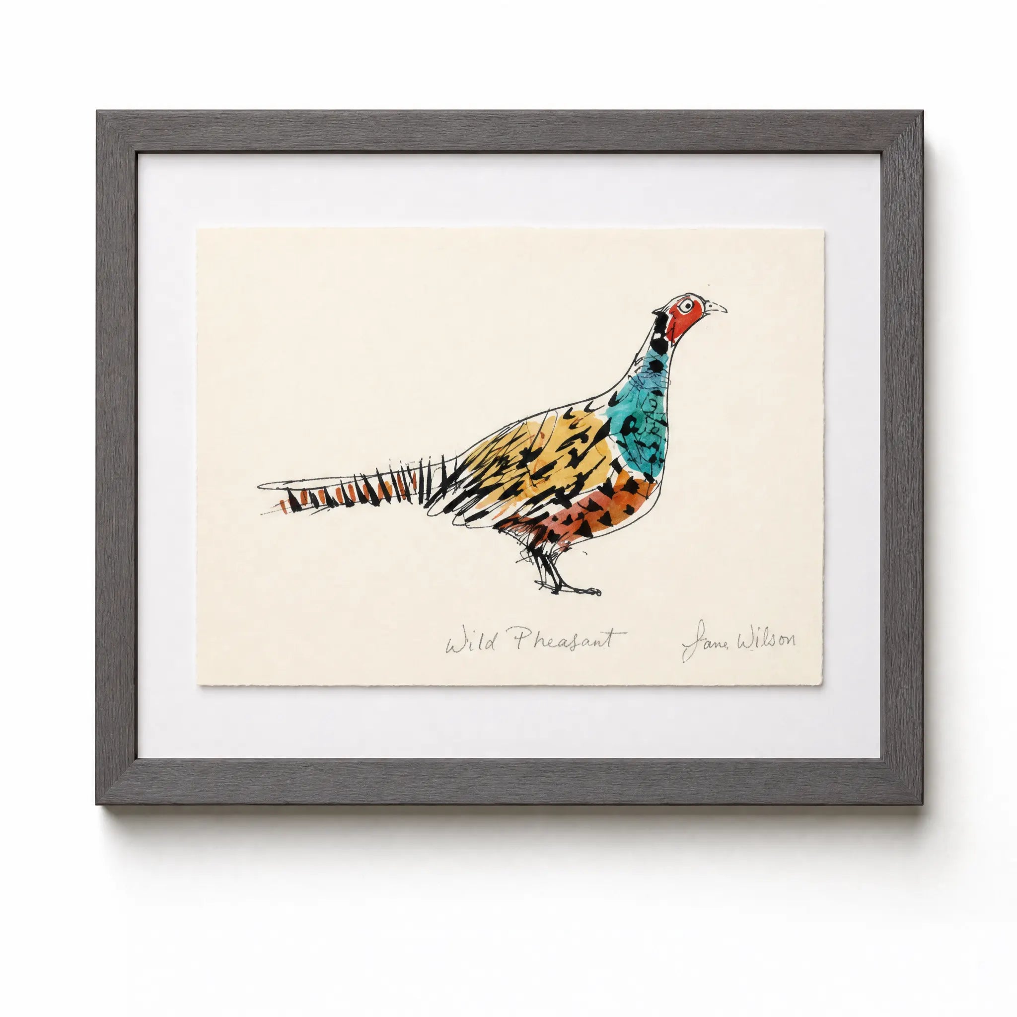 Sam Wilson Wild Pheasant Print