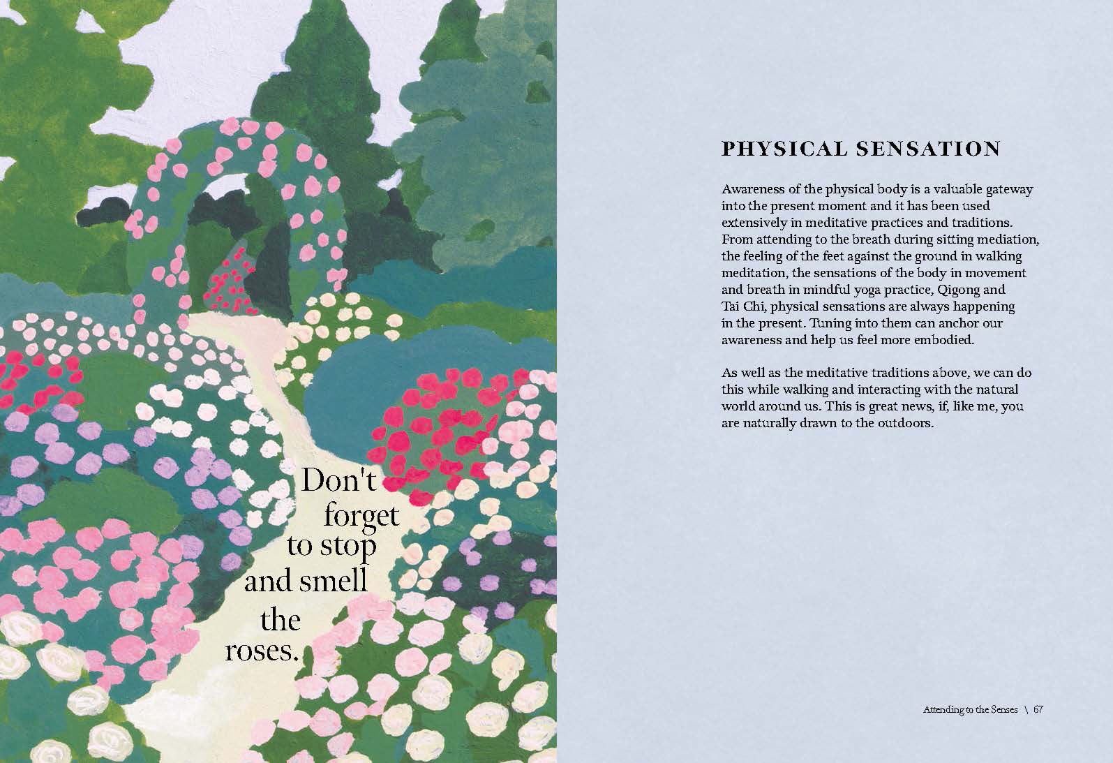 Walk: Find your path to Happiness/Mindfulness in Nature