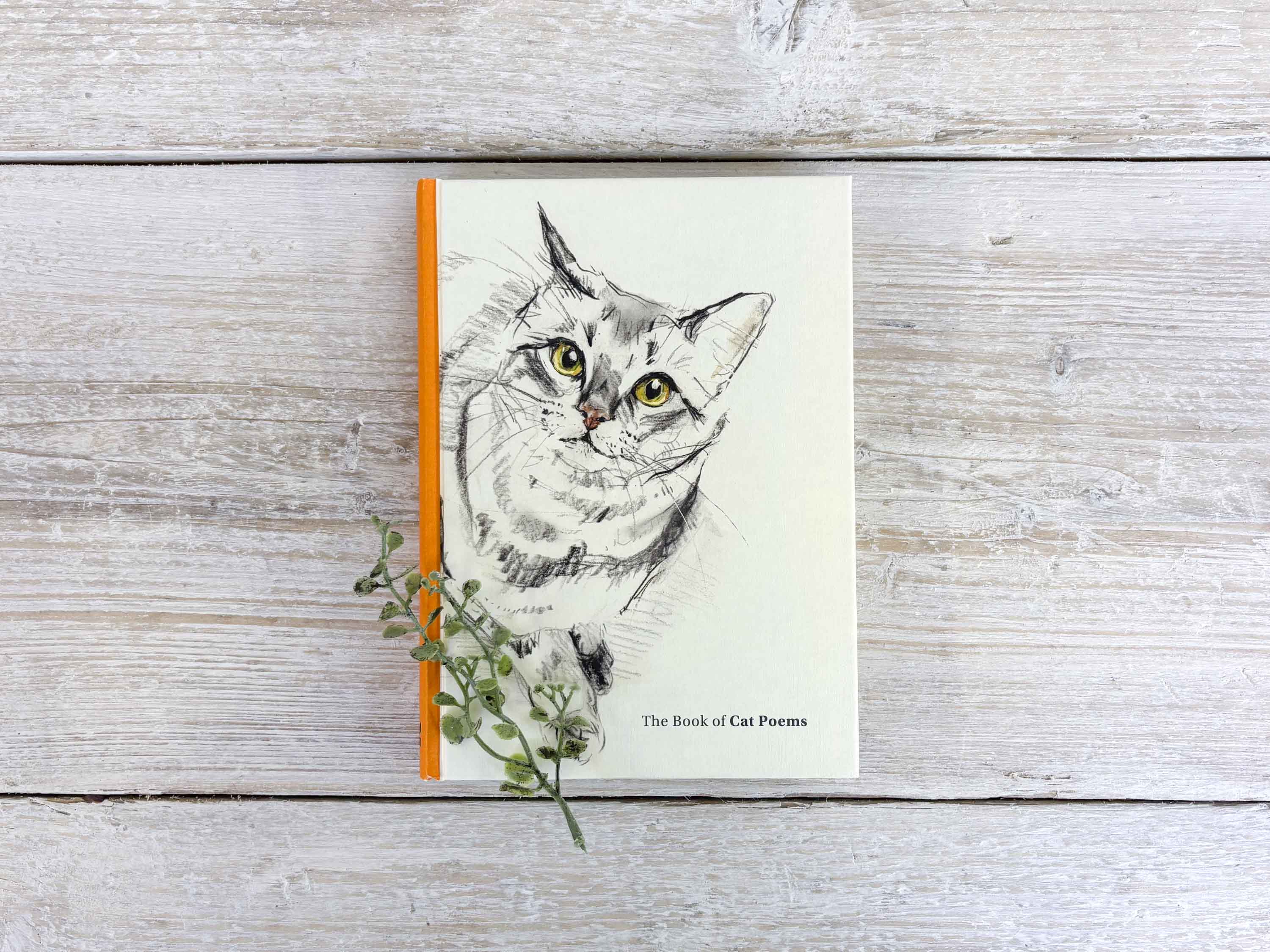 Book of cat poems