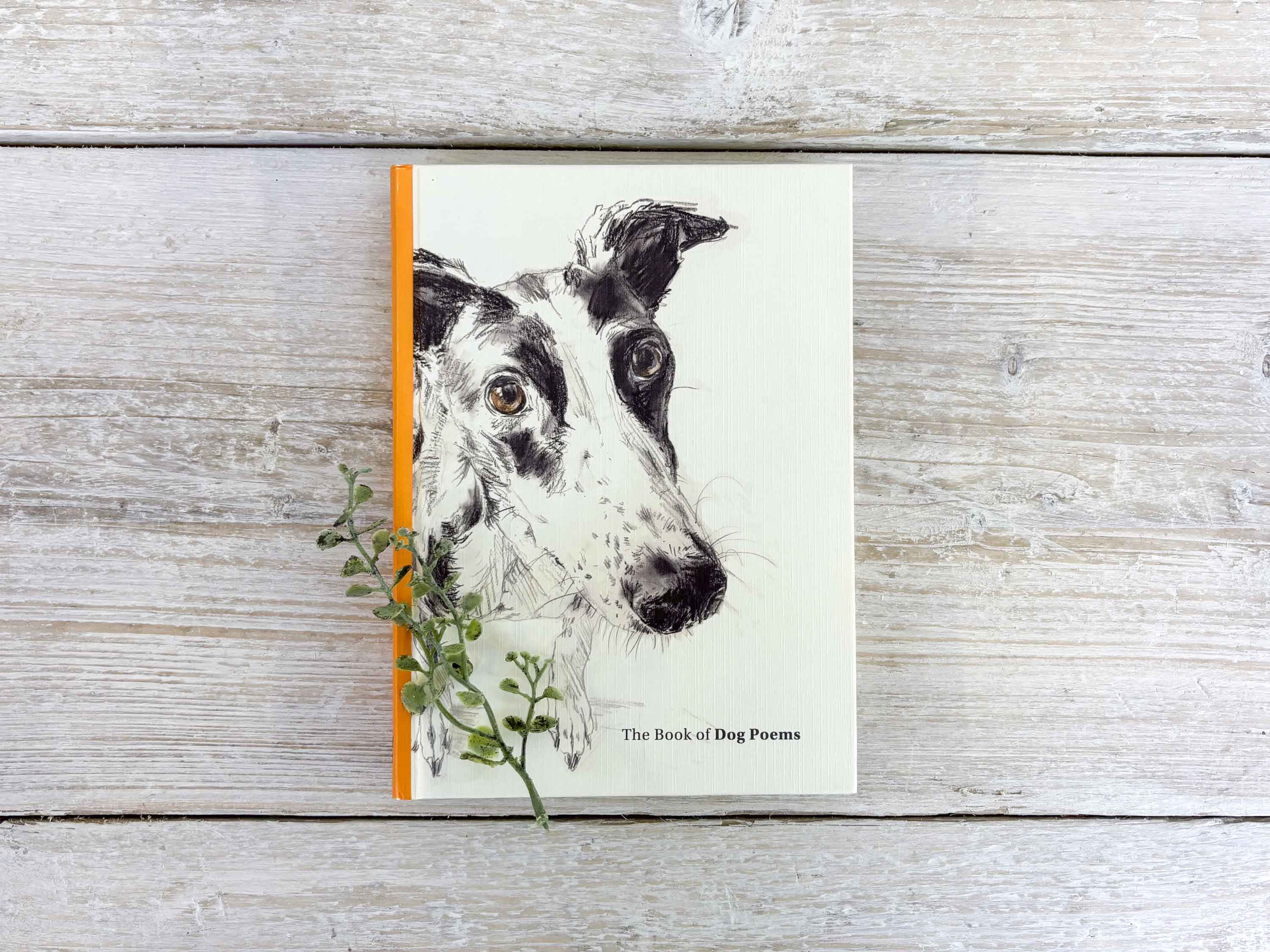Book of Dog Poems