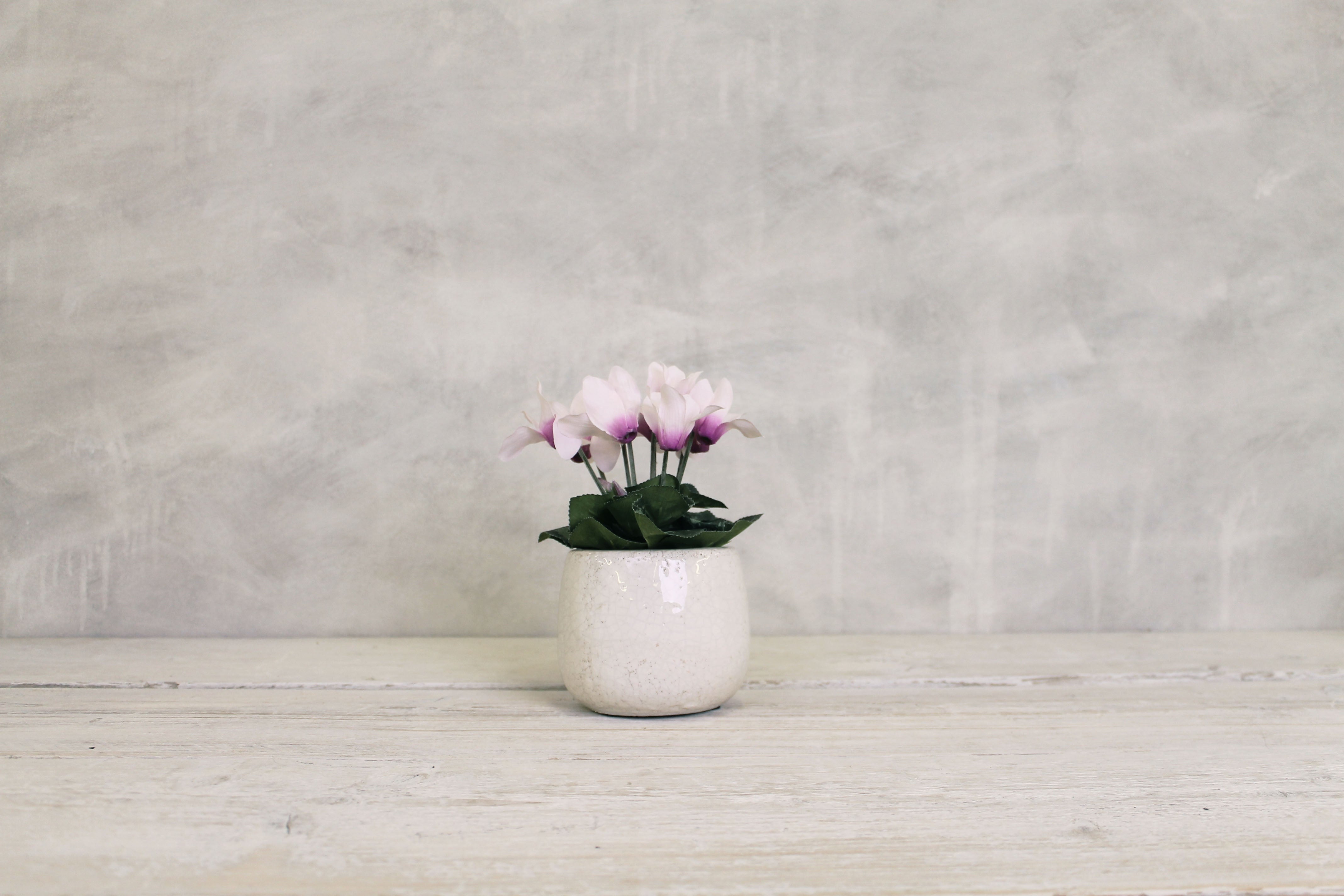 Crackle Glaze Plant Pot - Small