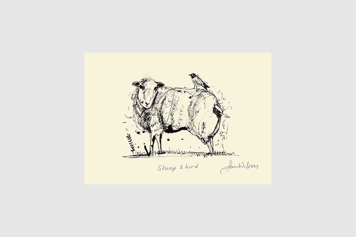 Framed Sam Wilson Sheep and Bird Print