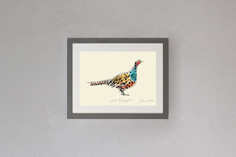 Framed Sam Wilson Wild Pheasant Print