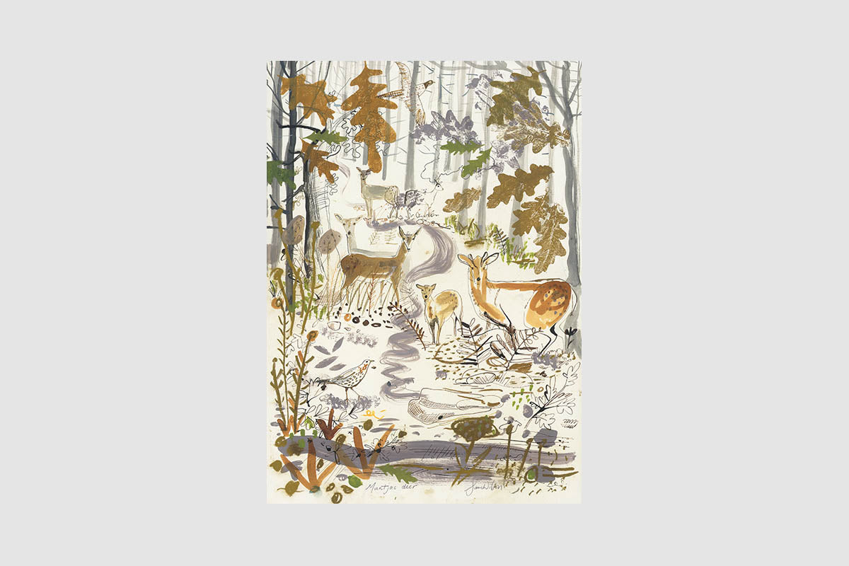 Sam Wilson Muntjac Deer Print - Unframed