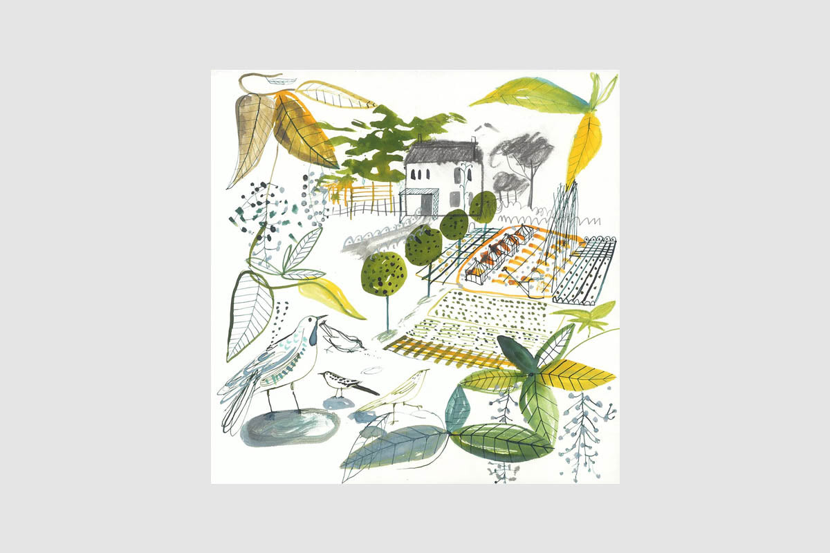 Unframed Sam Wilson Kitchen Garden Print - Unframed
