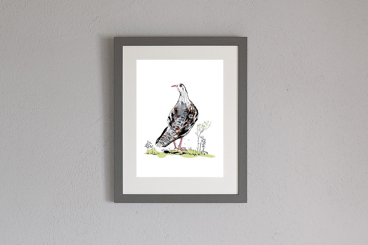 A4 Framed Sam Wilson Red-Legged Partridge Print