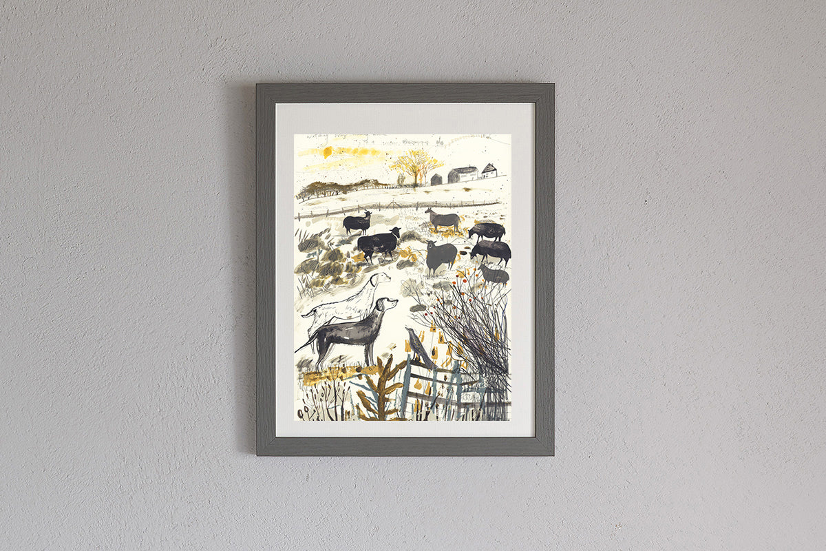 Framed Sam Wilson Watching Sheep Print