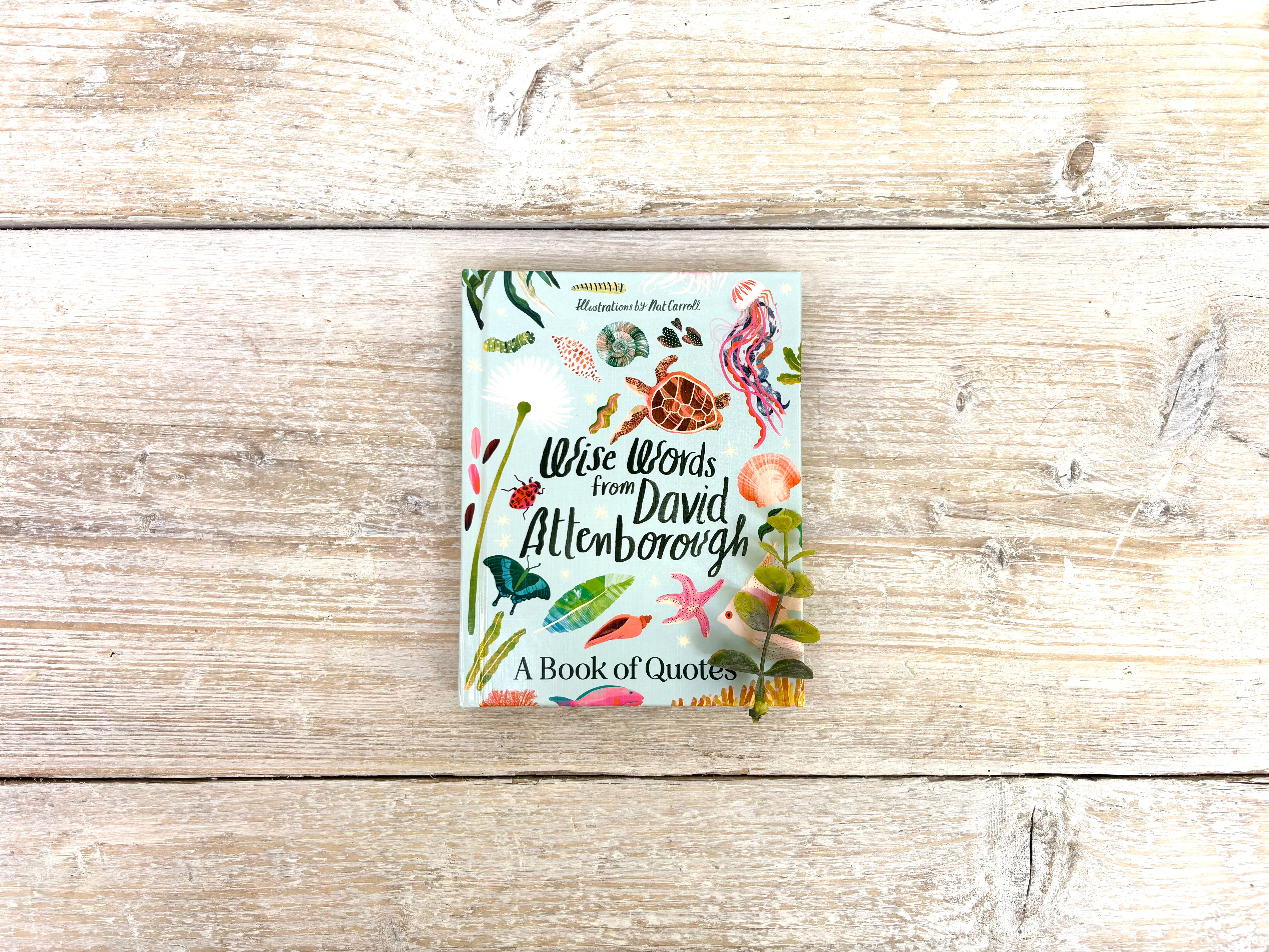 Wise Words from David Attenborough