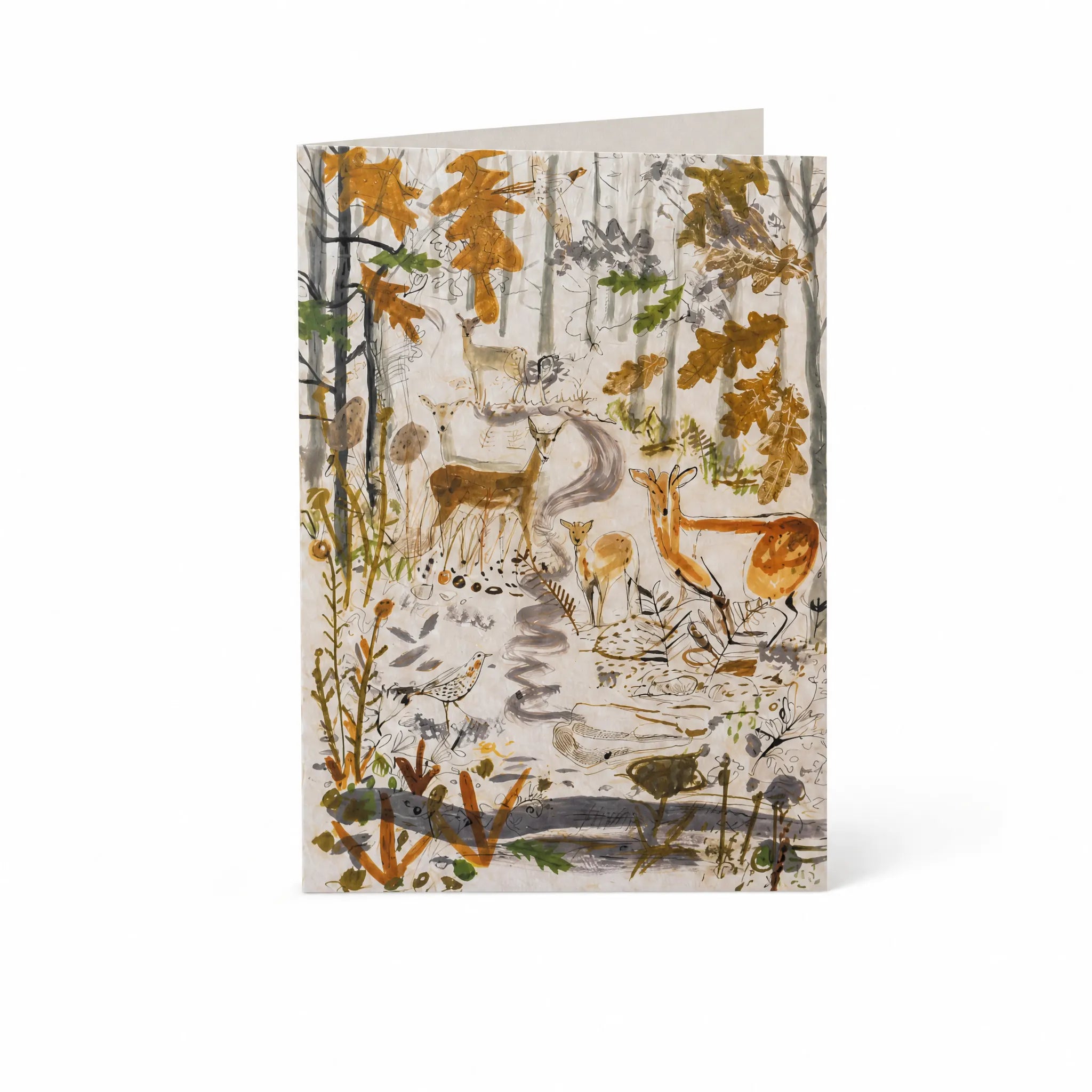 Sam Wilson Muntjac Deer Greetings Card