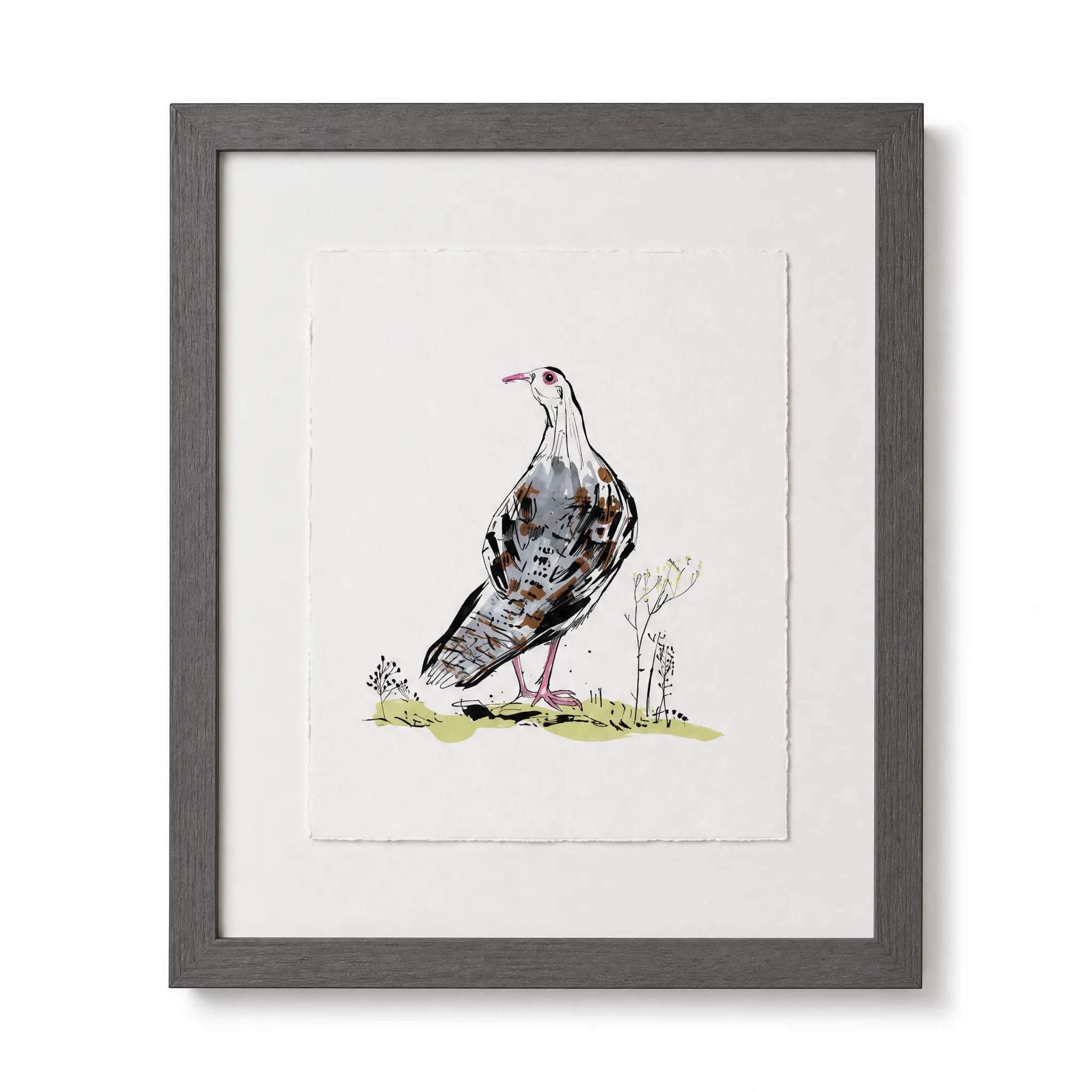 Sam Wilson Red-Legged Partridge Print