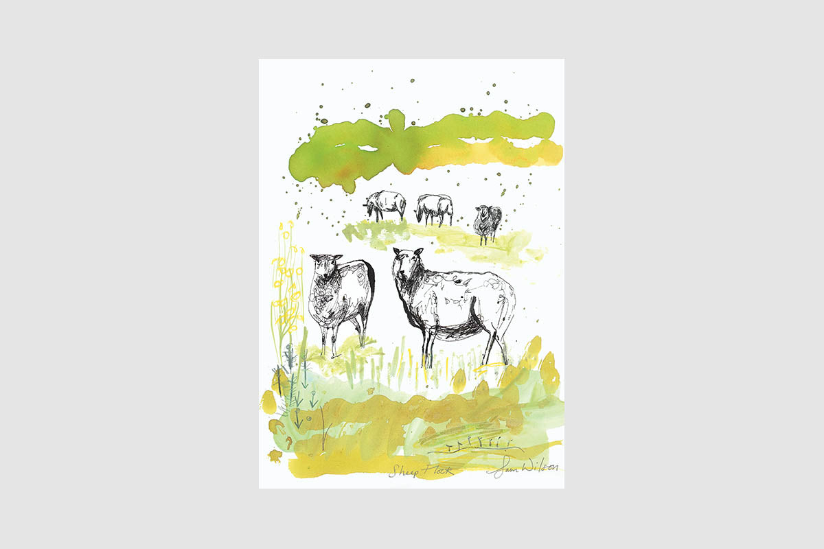 Sam Wilson Sheep Flock Print - Unframed