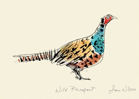 Sam Wilson Wild Pheasant Print