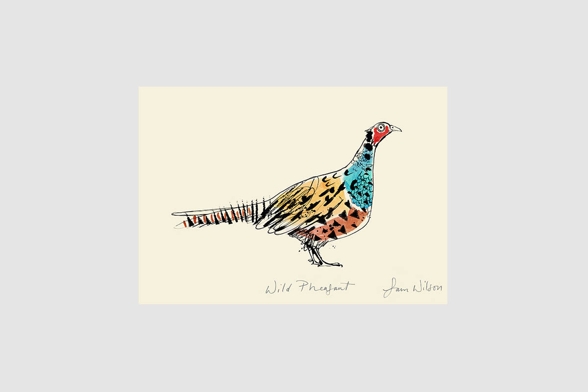 Sam Wilson Wild Pheasant Print - Unframed