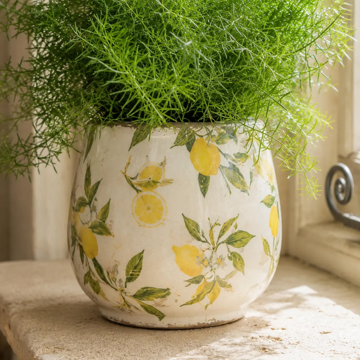 Limon Planter - Large