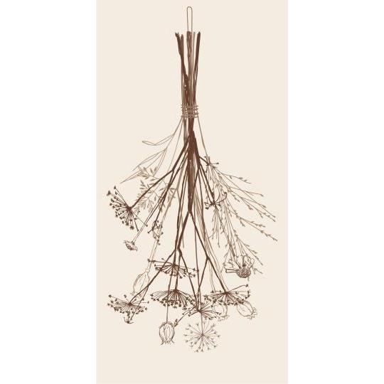 Dried Autumn Paper Napkins