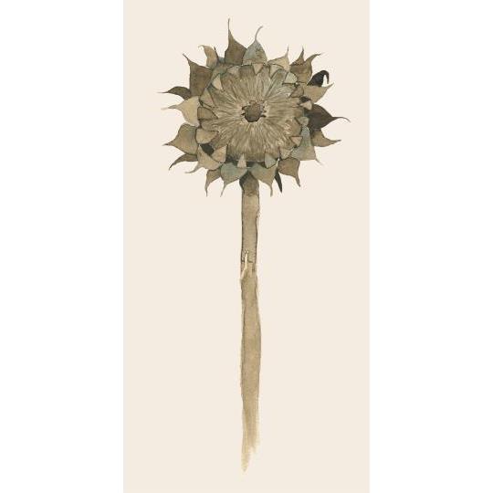Sunflower In Decay Paper Napkins