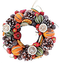 Fruit Twig Circle - 25cm