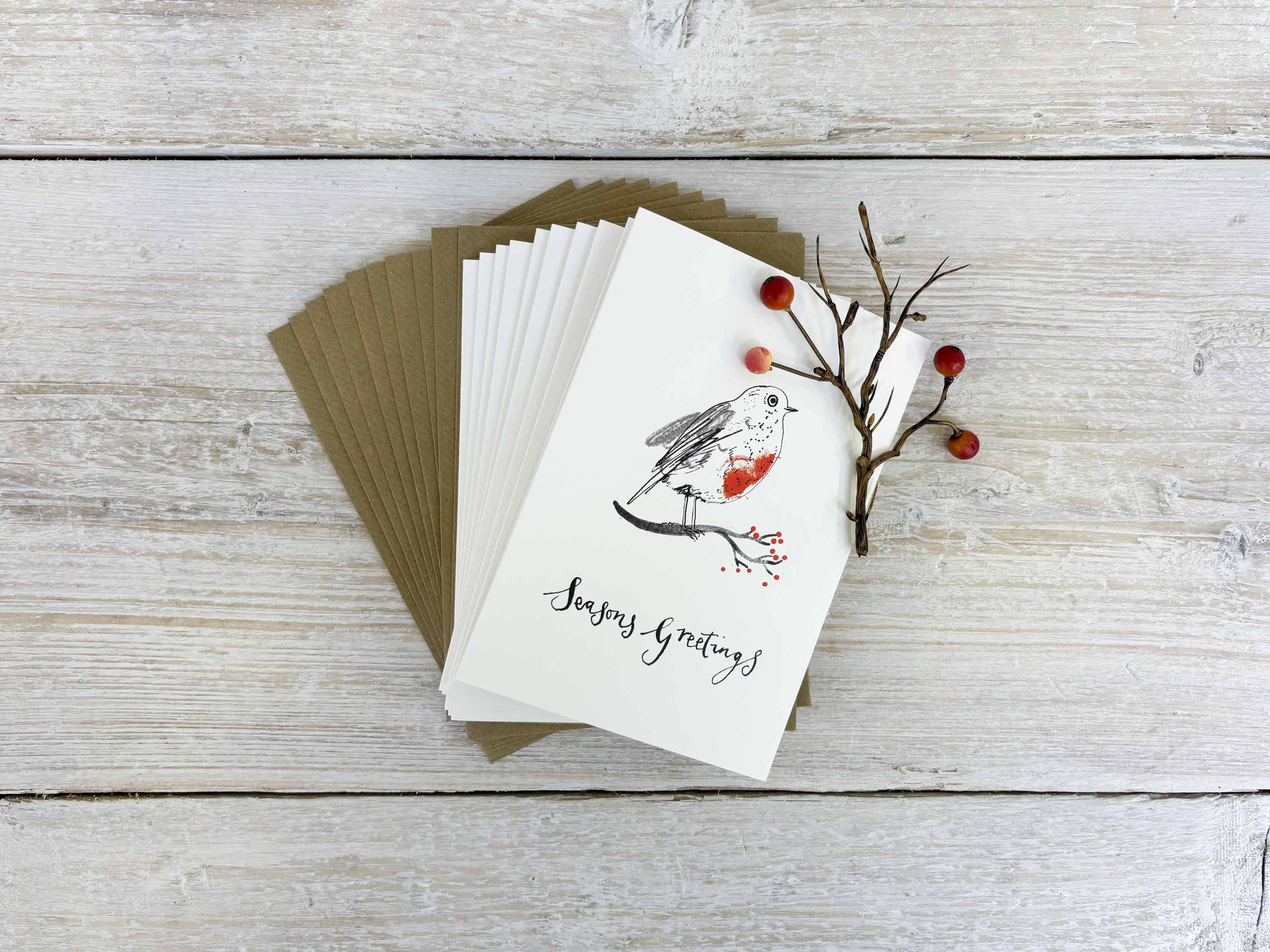 Sam Wilson Robin Christmas Card Set - Pack of 10