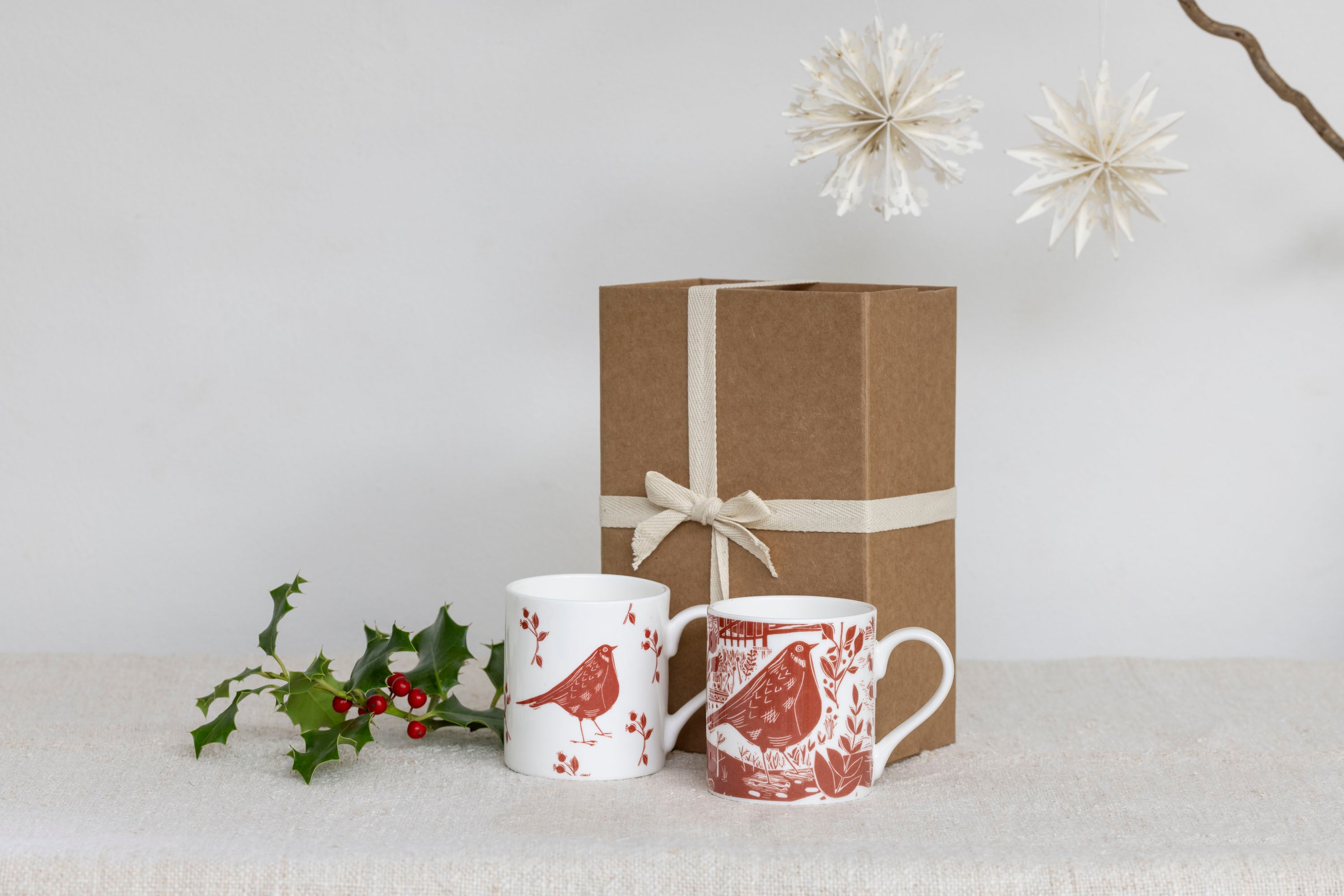 Red Robin and Garden Bird Mug Gift Set