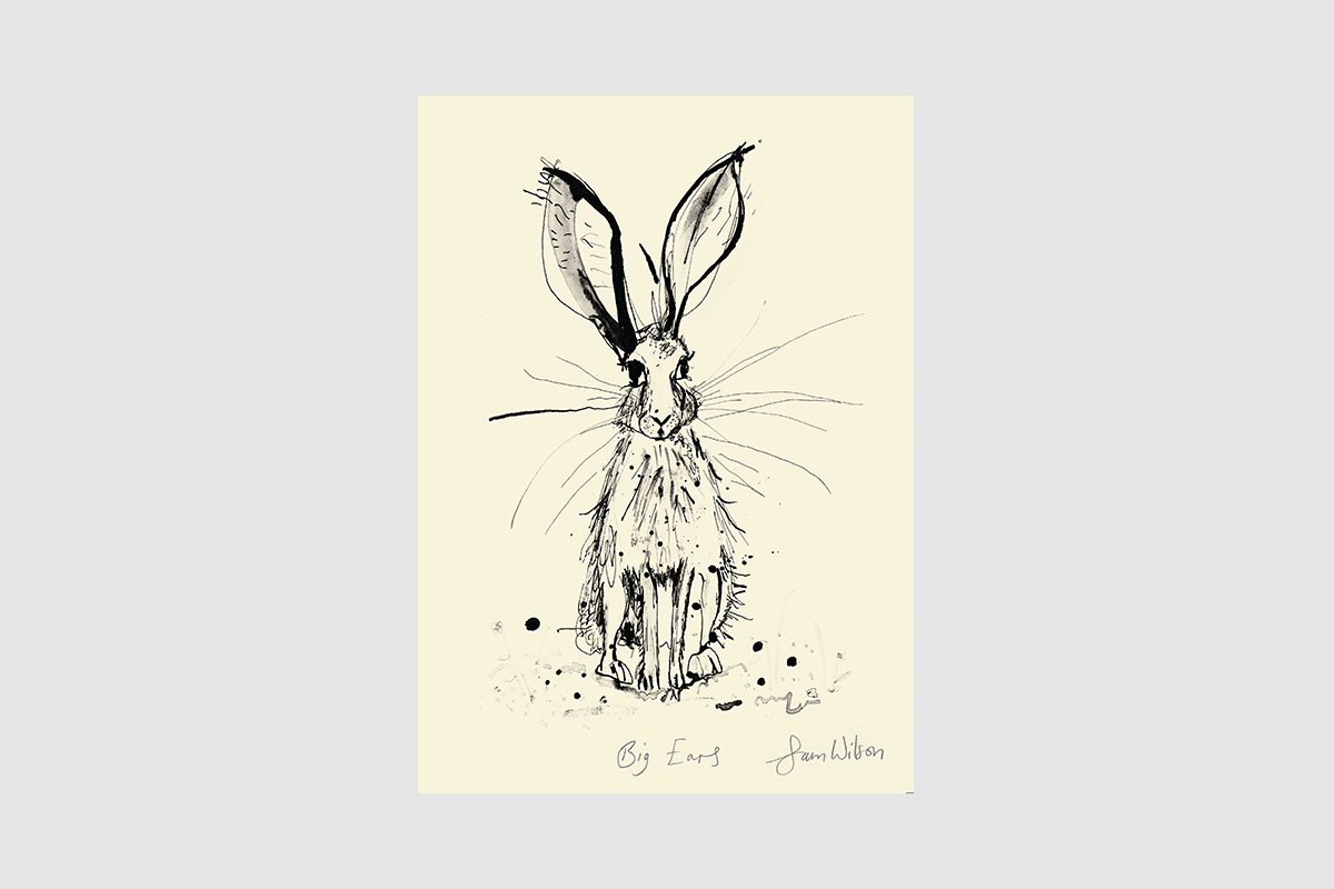 Framed Sam Wilson Big Ears Print