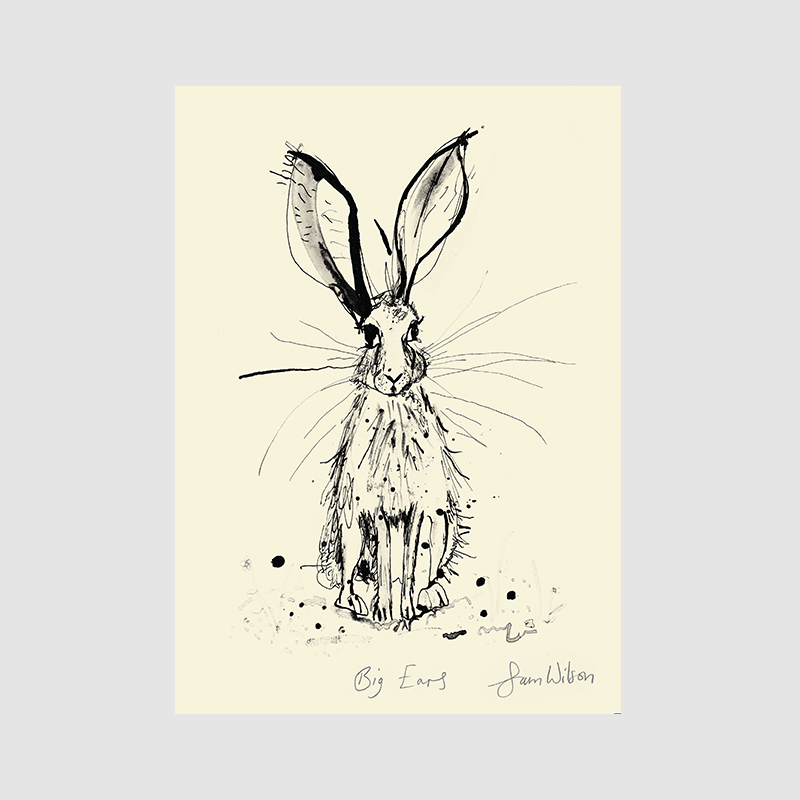 Framed Sam Wilson Big Ears Print