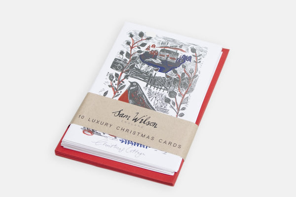 Sam Wilson Garden Bird Christmas Cards Set - Pack of 10