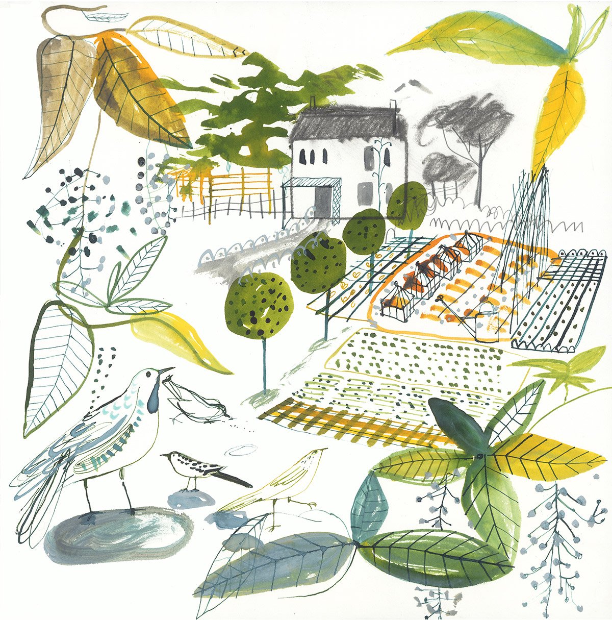 Sam Wilson Kitchen Garden Print - Unframed