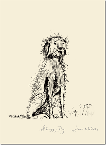 Sam Wilson Shaggy Dog Print - Unframed